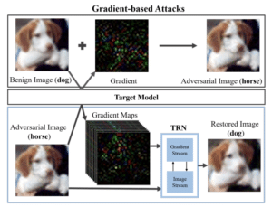Gradient Based Attack