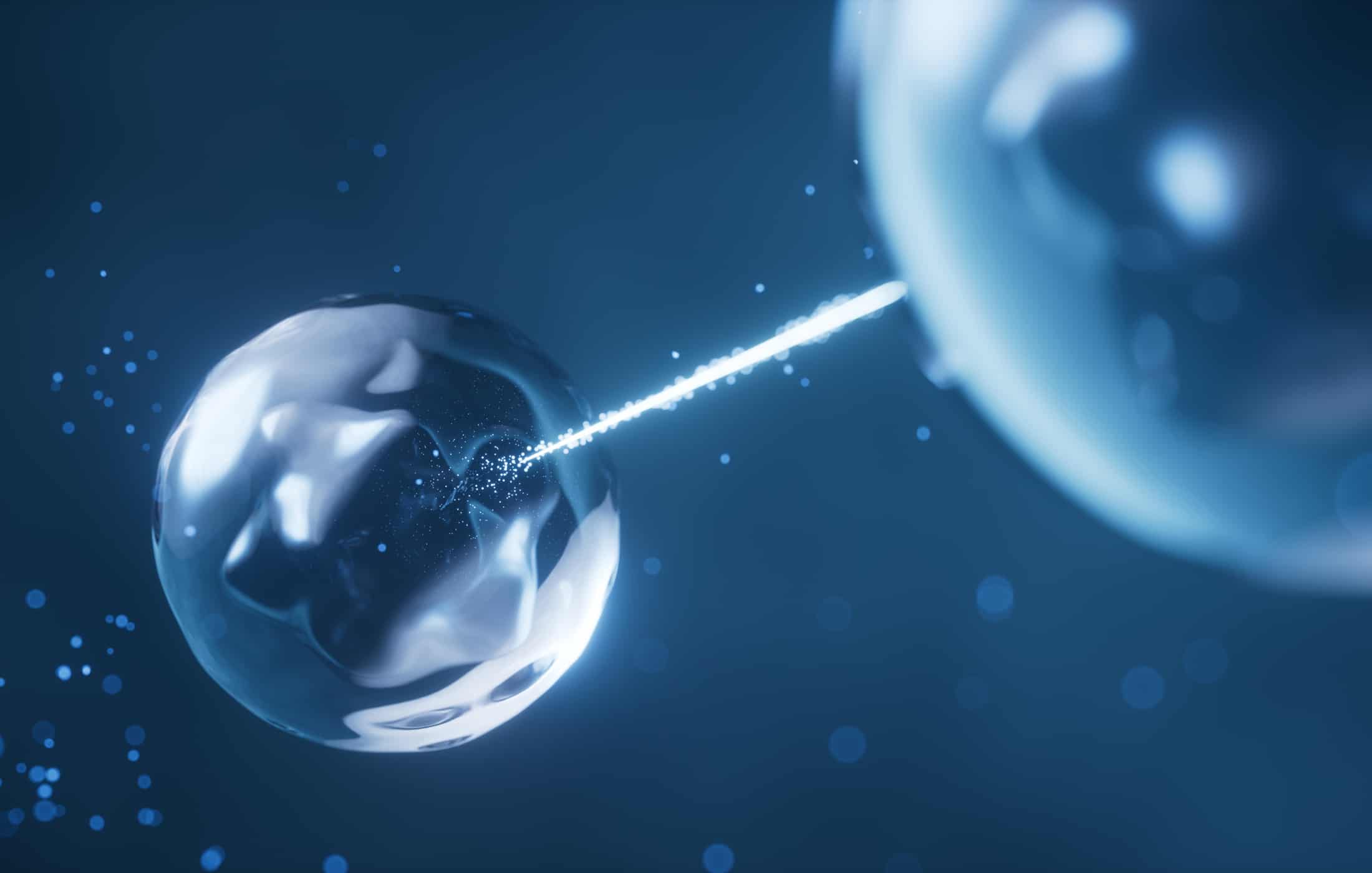 Quantum Teleportation Quantum Networks